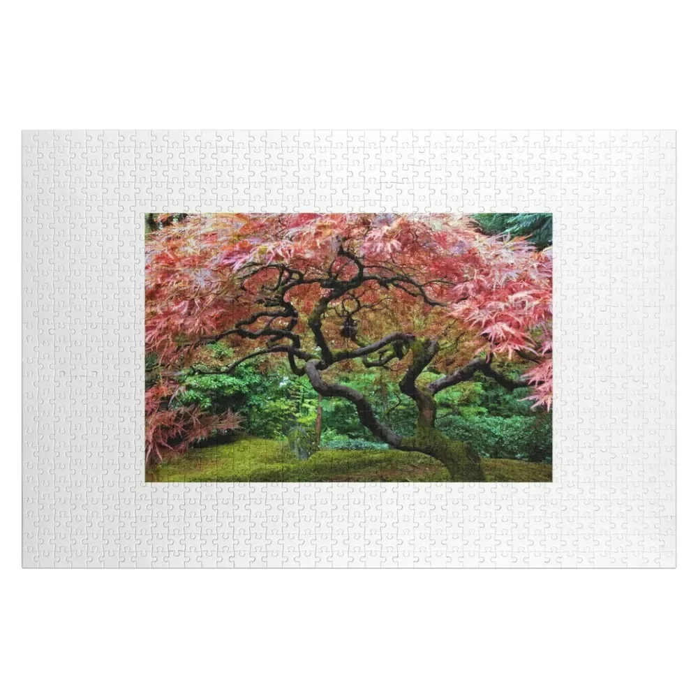 

Japanese Maple at Portland's Japanese Gardens Jigsaw Puzzle Game Children Personalised Toys Works Of Art Custom Gift Puzzle