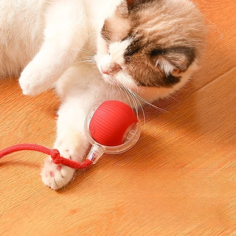 Automatisches Interaktives Katzenspielzeug: Rollender Ball für Hunde und Katzen, Elektrisches Trainingsgerät zur Rattenimitation, Wiederaufladbar
