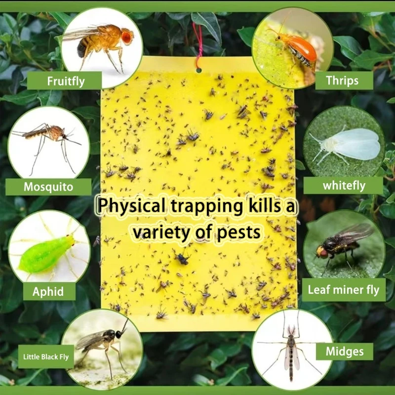 7,87 Zoll Armyworm Board Yellow Board doppelseitige Kammerjäger-Trap-Boards zum Fangen kleiner fliegender Insekten Fan Fruit Fly Trap