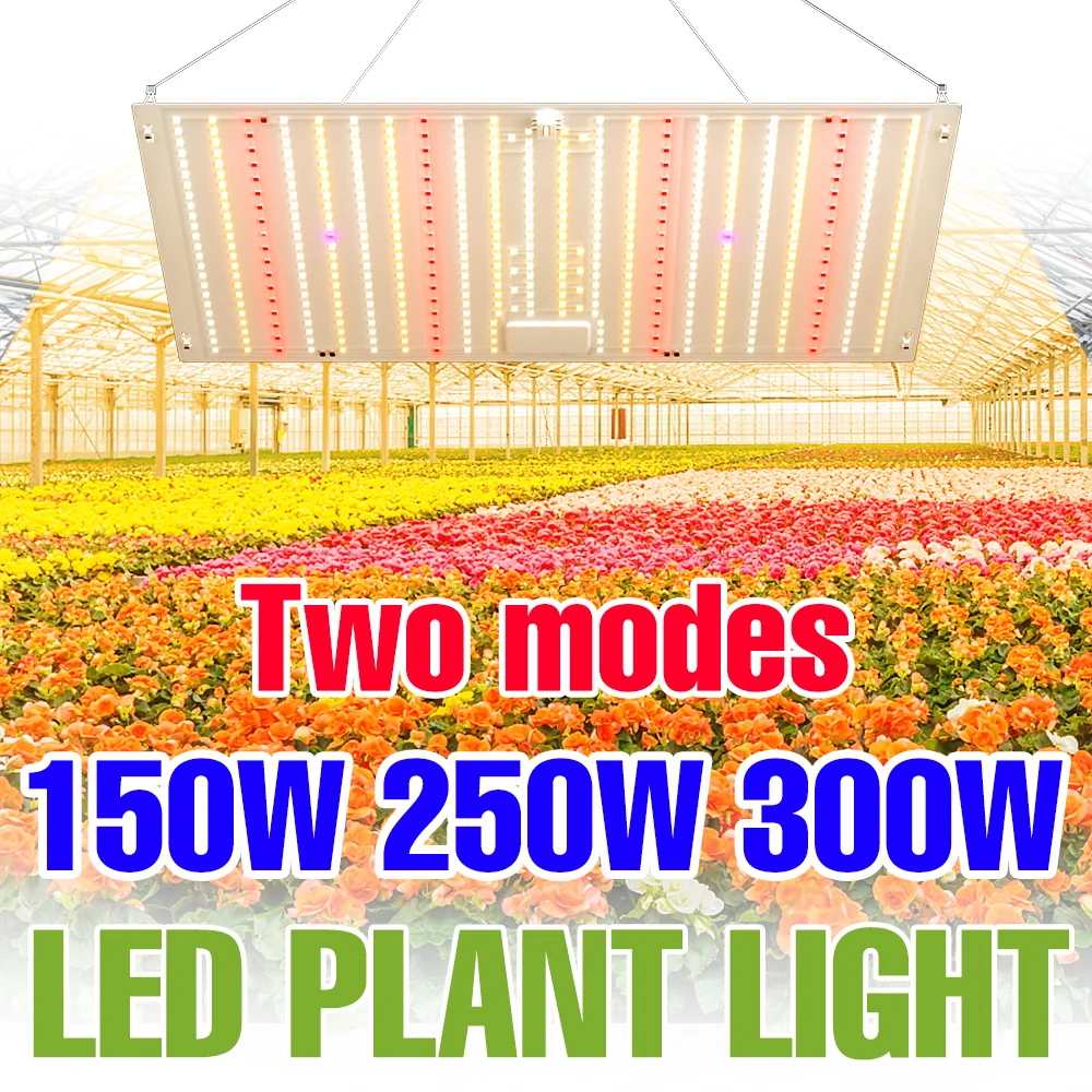 

300W Full Spectrum LED Grow Lamp 100-277V Quantum Board Plant Cultivation Light Indoor Seedings Greenhouse Tent Fill Lighting