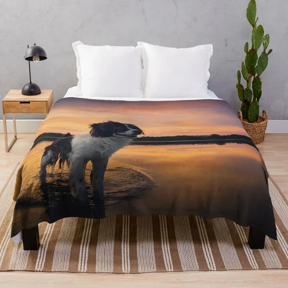 

beautiful dog at sunset Throw Blanket Machine Washable Soft Warm Blanket