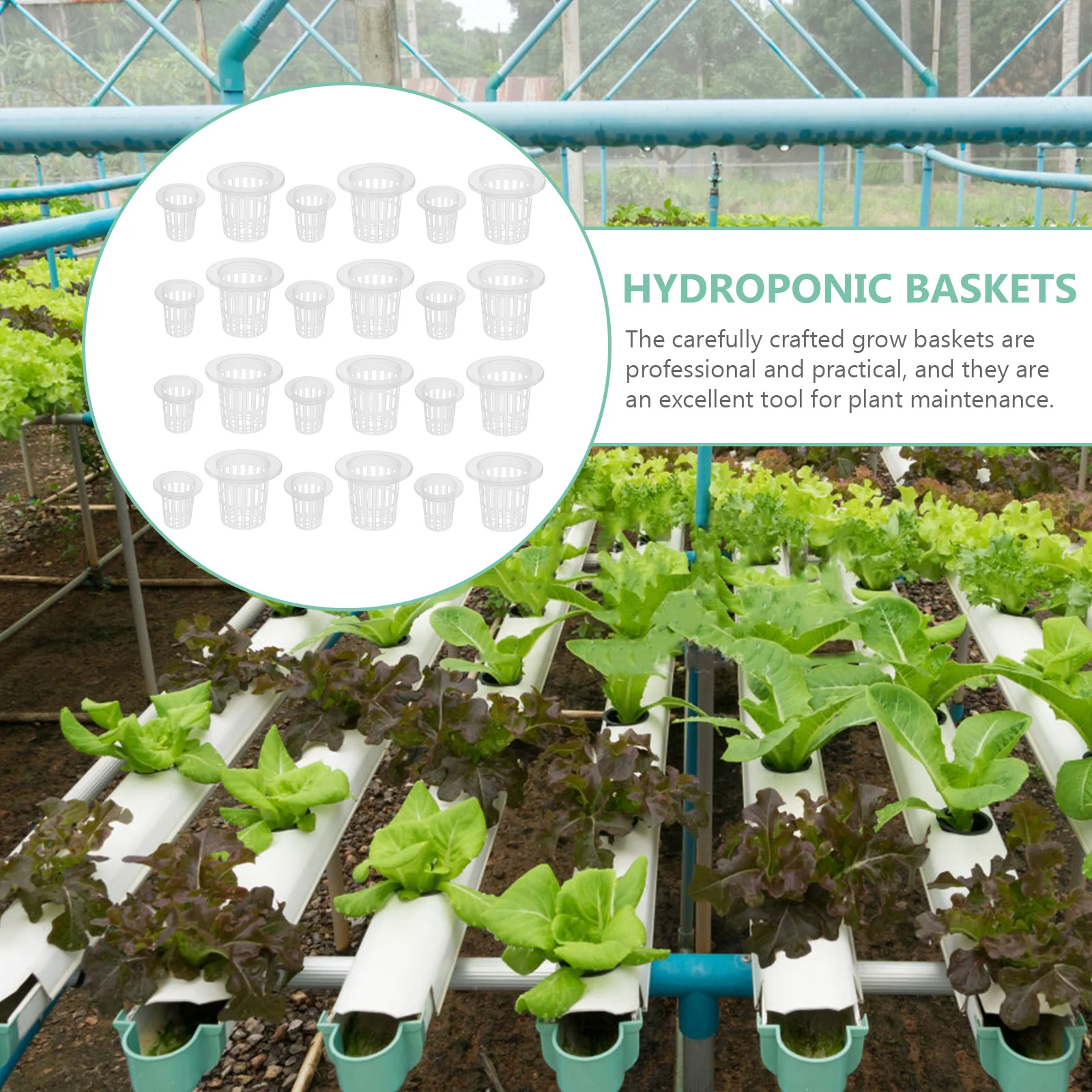 

60 Pcs Hydroponic Baskets Planting Cups Cultivation Growth Germination Soilless Plastic Garden Netting Durable Lightweight