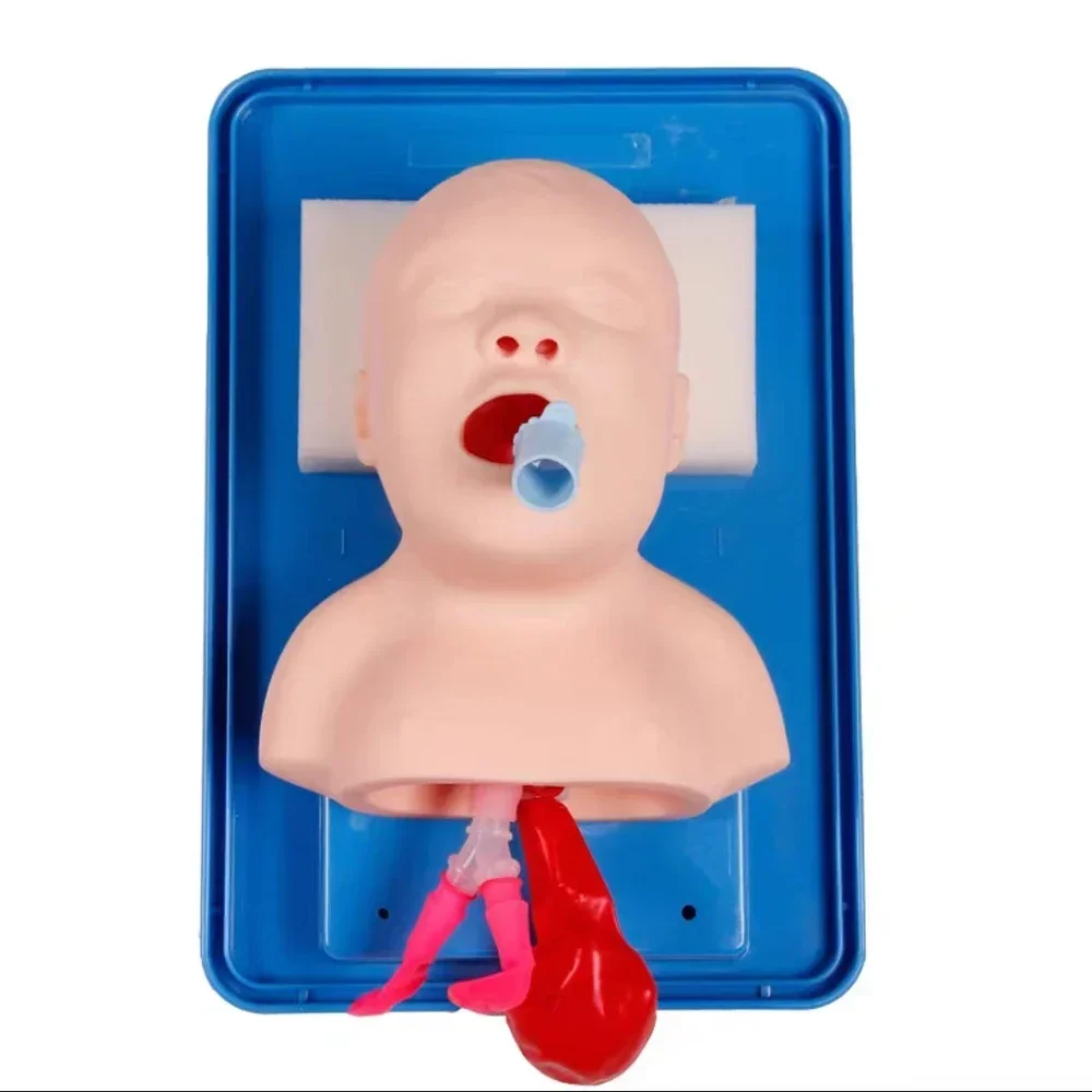 Newborn Infant Tracheal Intubation Training Model Study Model Oral Nasal Tracheal Intubation Simulator with Endotracheal Tube