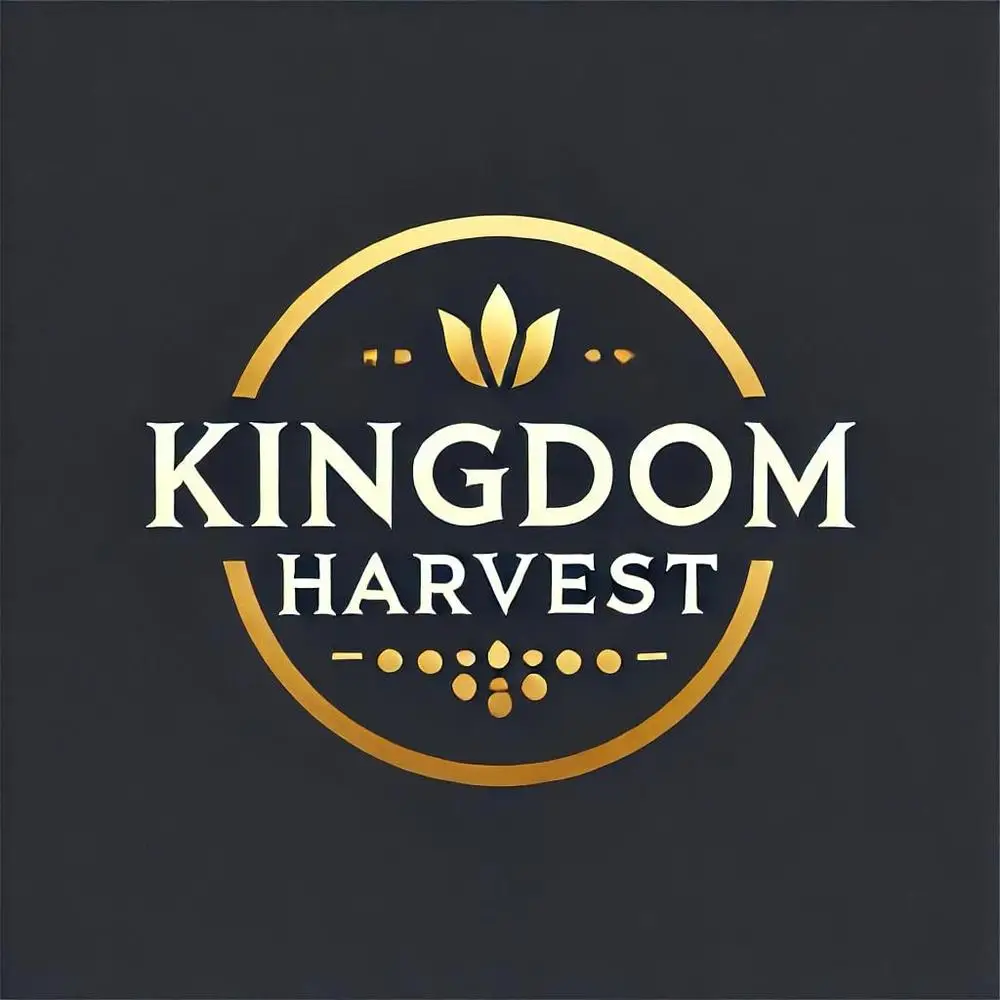 Diesel Lombardini Engine Key Switch ED0050412740S Generator Replacement Parts Secure Ignition Manual Operation Plug In