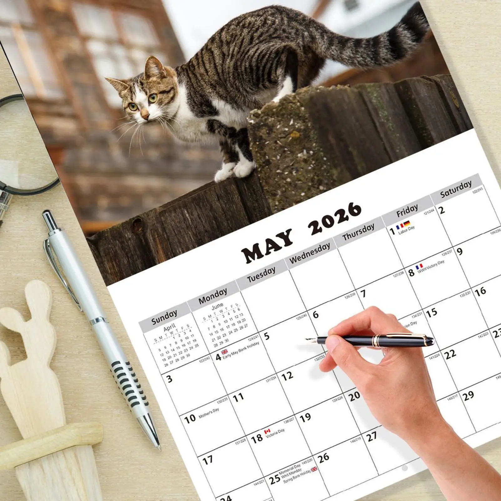 

Calendar 2026 New Year Cat Themed Wall Calendar Monthly Calendar With Photos Calendar 2026 Desktop Ornaments