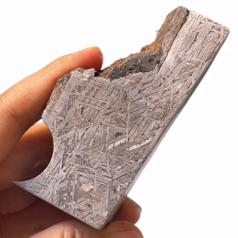 Muonionalusta Iron Meteorite Slice Etched Widmanstatten Pattern Specimen With Original Crust Mineral Collection Display CC257