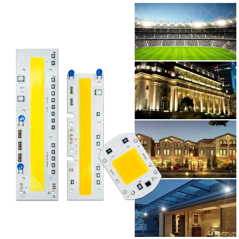 10pcs/lot LED Chip 100W 50W 30W 20W 10W COB Chip LED Lamp AC 220V 110V No Need Driver for Flood Light Spotlight Lampada Lighting