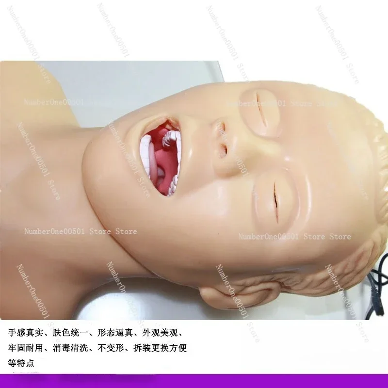 Human electronic tracheal intubation teaching model, with tooth pressure alarm device, model equipment -LBW001
