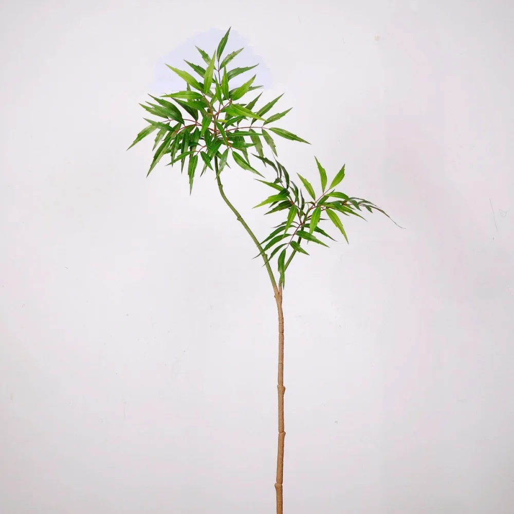 ต้นไม้ประดิษฐ์ขนาดใหญ่ ความสูง - Ficus Lyrata Tree บทวิจารณ์และราคา