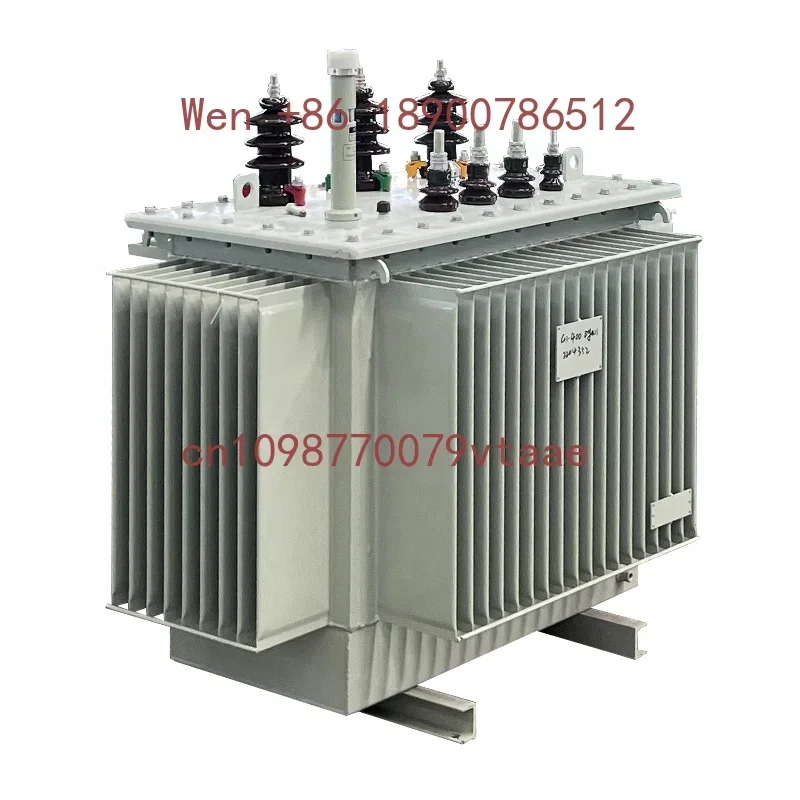 Electric Electricity Distribution Transformer 100kva Three Phase Transformer S20 Oil-immersed Transformer Power TOROIDAL 50/60hz