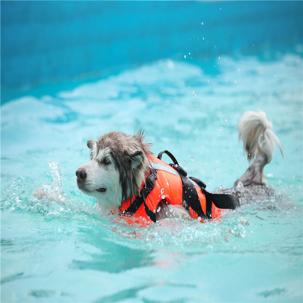 

Pet Life Jacket Vest Dog Safety Life-saving Puppy Outdoor Swimwear Swimsuit