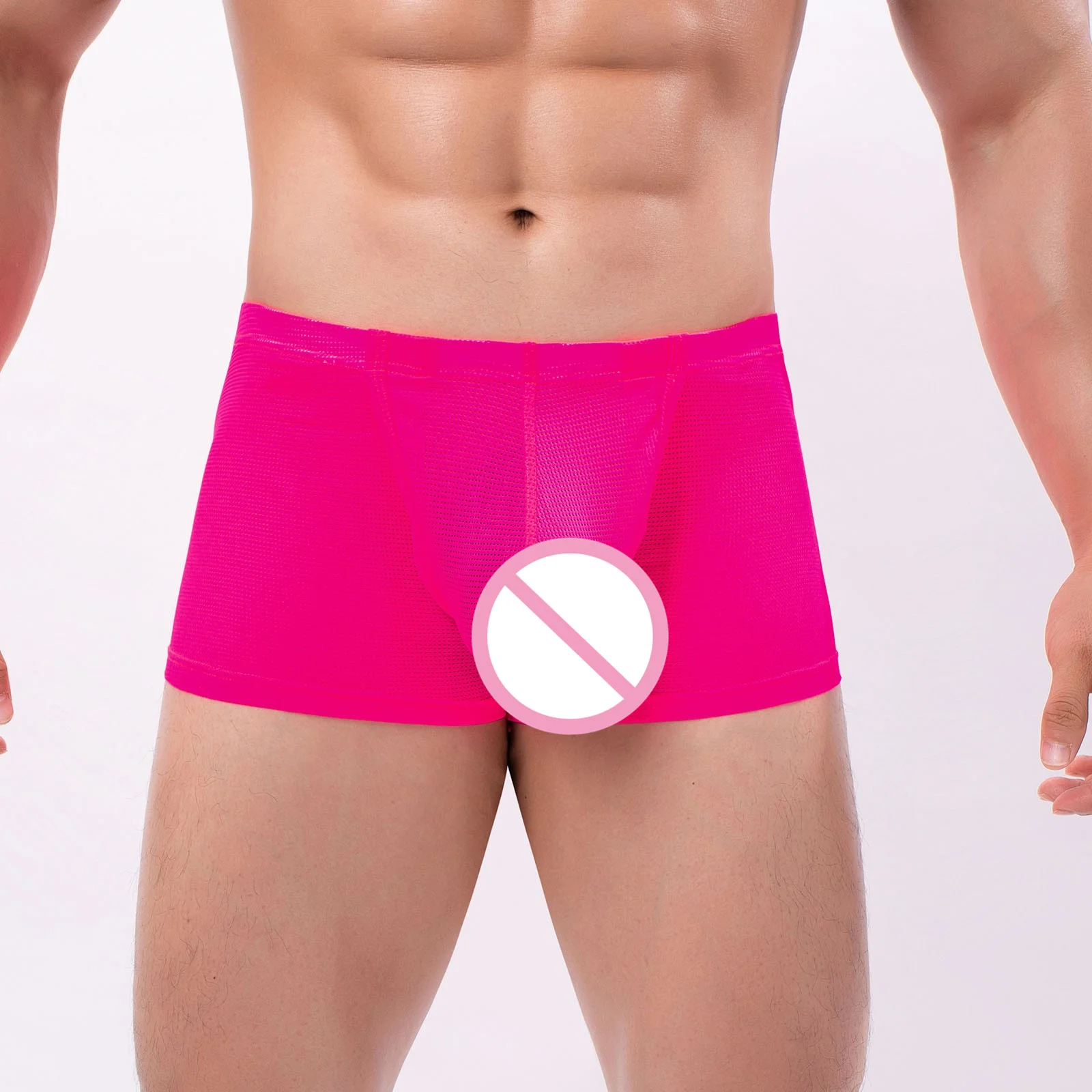 Sexy Mesh Sheer Boxers Men Seamless Solid Color Transparent Briefs Thongs Elastic Intimates Penis Pouch Boxershorts Intimates