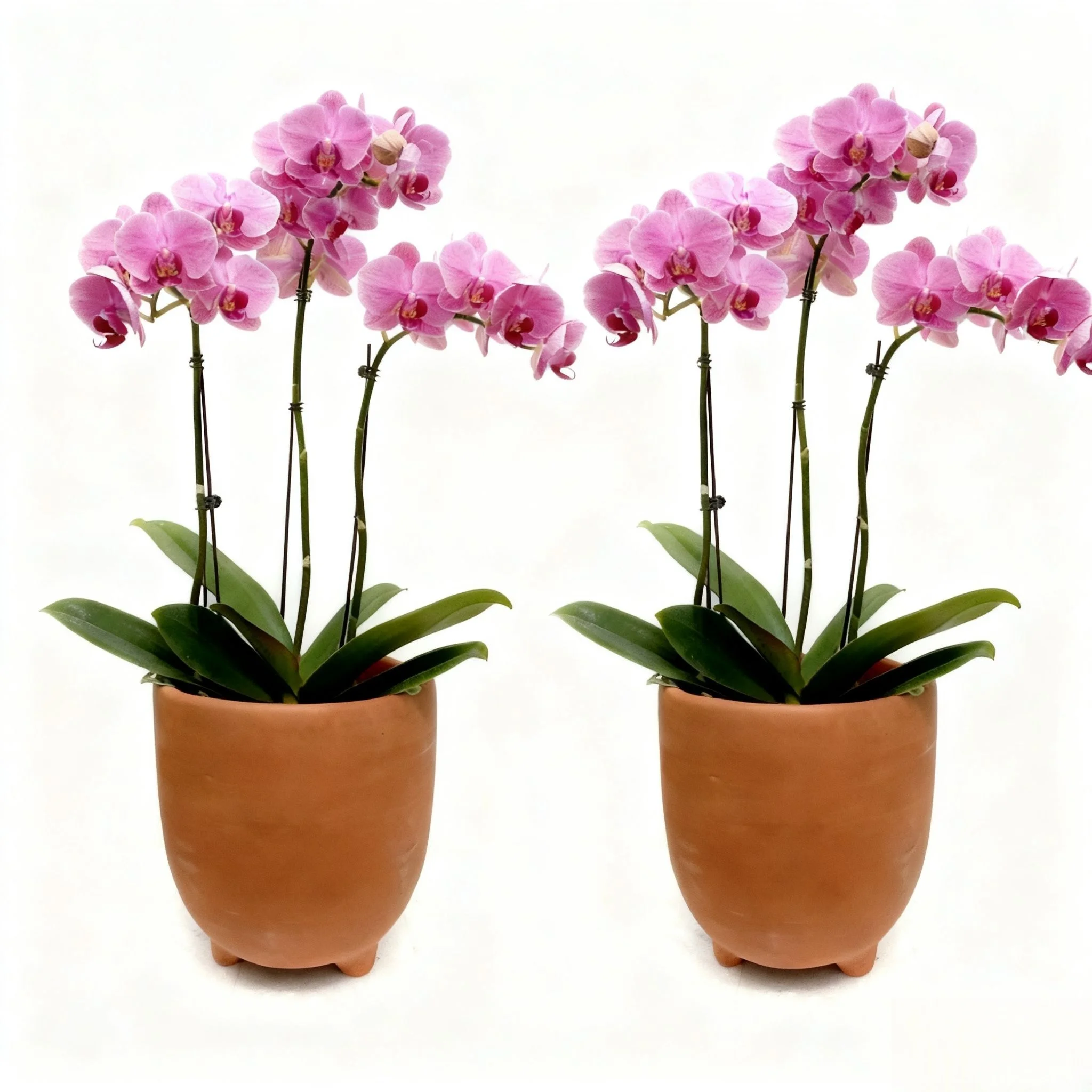 4 inch Handcrafted Tri-legged Terracotta Flowerpot for Phalaenopsis and Succulents, Kids' DIY Projects, Home Decor, Storage