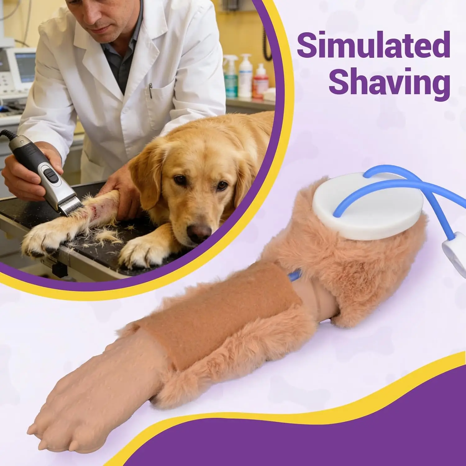 Ultrassist Dog Forelimb IV Venipuncture Injection Train Simulator Canine Venous Blood Insertion Model for Student Pet Veterinary