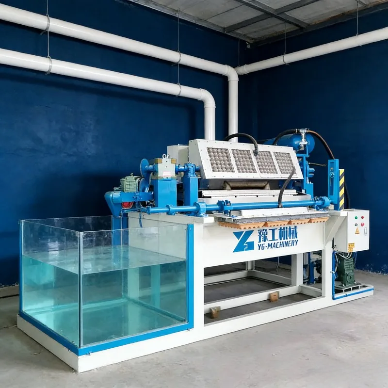 Convenient Egg Tray Machine Pulp Mold Drying Oven Bangladesh Egg Tray Making Machine Machine Paper Egg Tray Making