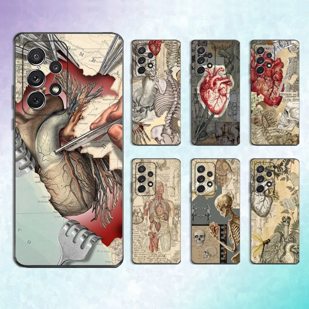 

Human Anatomy Medical Phone Case For Samsung S25,S24,S23,S22,S21,S20,S10,Ultra,Plus,Lite,FE,Soft Silicone Black Cover