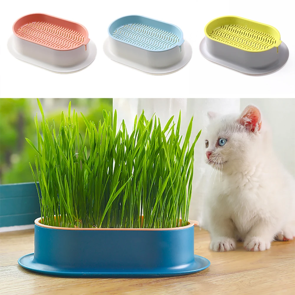 Pet Cat Sprout Dish Growing Pot Hydroponic Plant Cat Grass Germination Digestion Starter Dish Greenhouse Grow Box Reusable