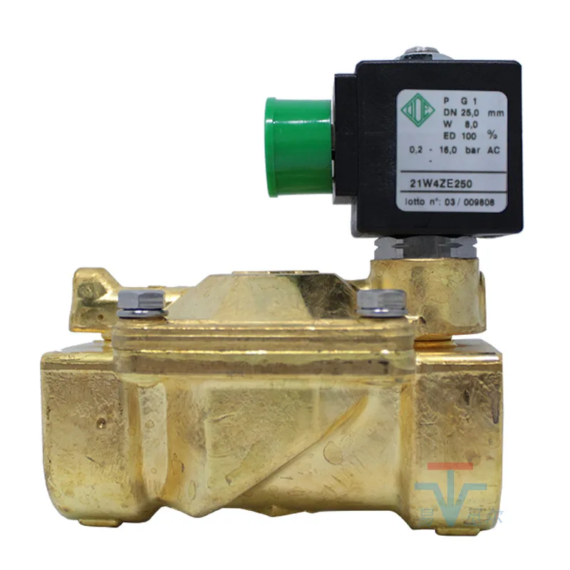 Normally Open Solenoid Valve 21w4ze250 Dn25 220v Two Way Pilot Operated Solenoid Valve