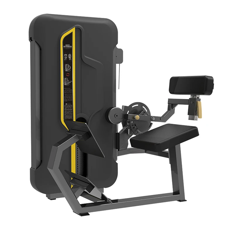 

Factory Price Gym Equipment Pin Loaded Strength Training Machine Back Extension for Sale