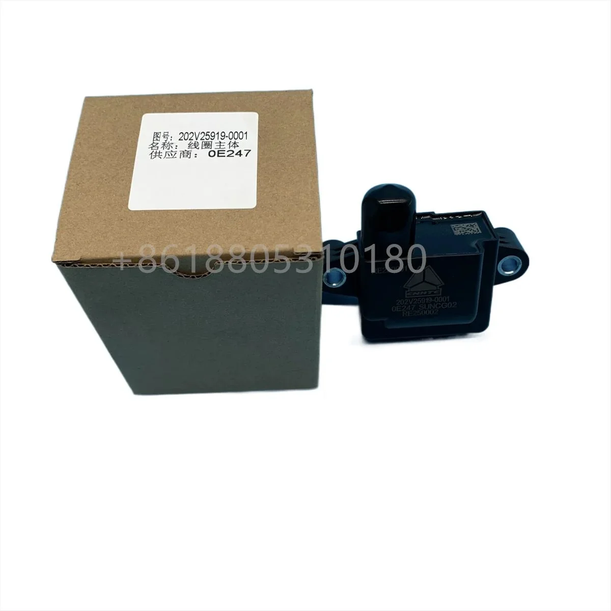 Zündspule für SITRAK MAN CNG-Motor 202V25919-0001 Kompatibel mit Verschiedenen Modellen - Zündmodul für Automobilanwendungen – Detail 3