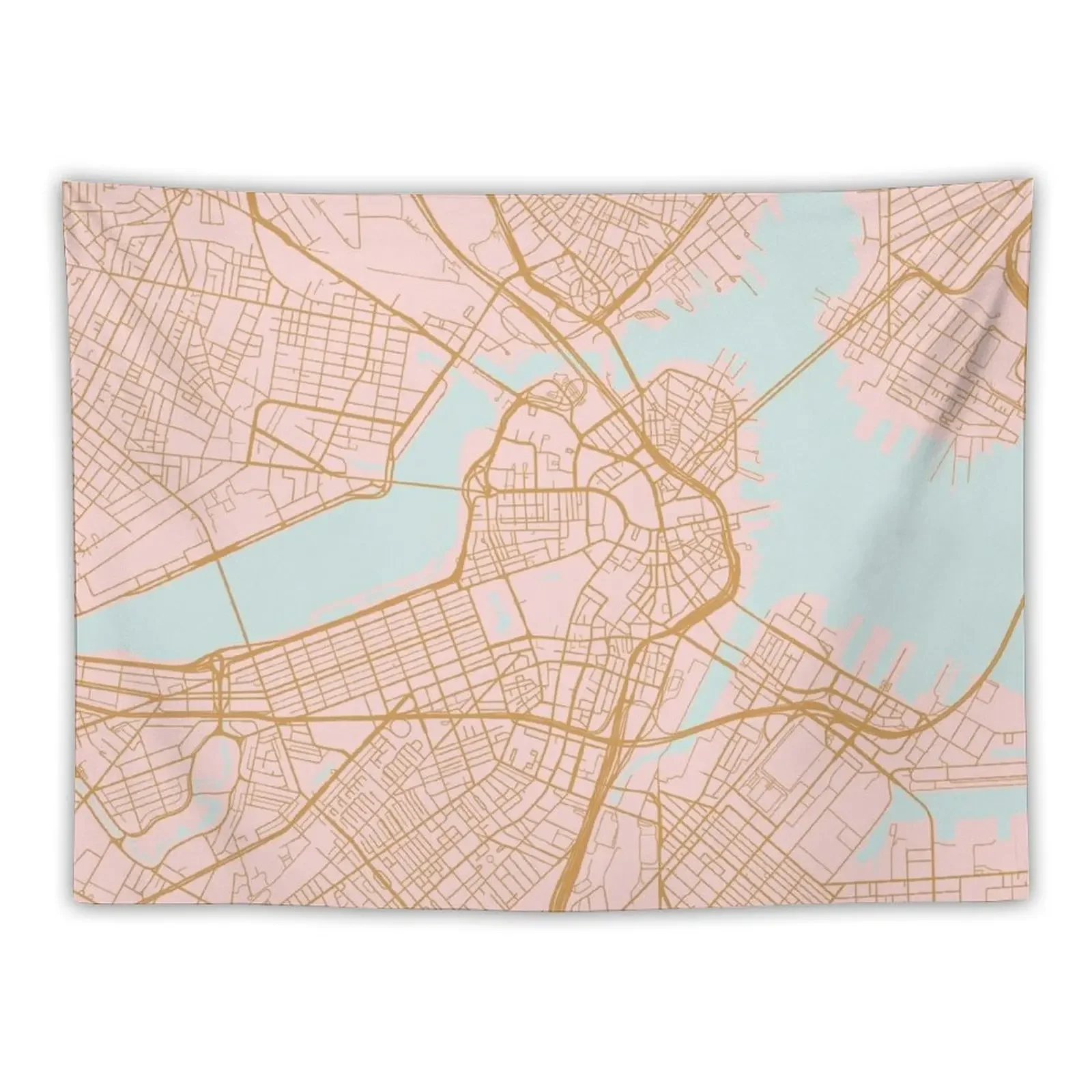 

Pink Boston map Tapestry Aesthetic Room Decors Home And Comfort Decor Aesthetic Decoration Home Decorators Tapestry