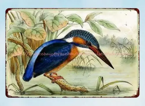 indoor outdoor wall art kingfisher metal tin sign