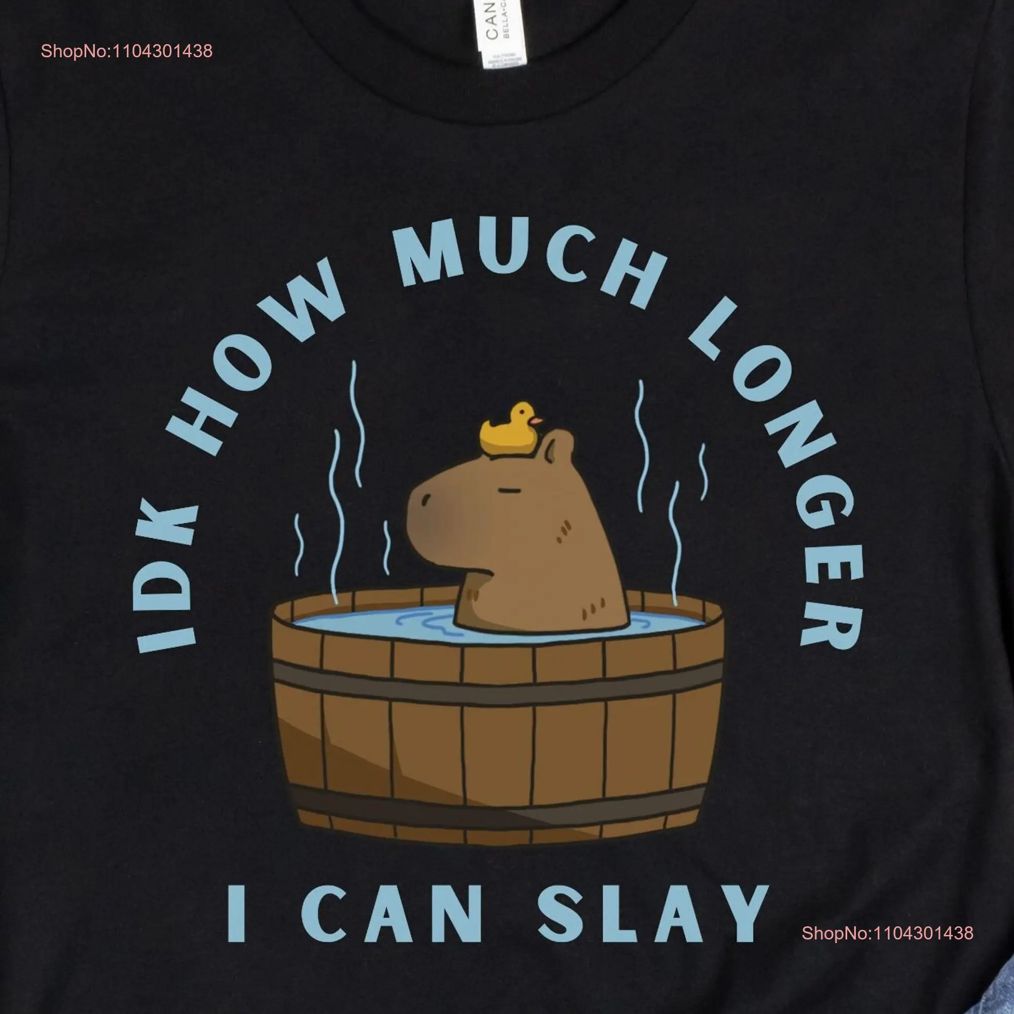 IDK How Much Longer I Can Slay Capybara T Shirt Capybaras Capibara Lover Pull Up long or short sleeves