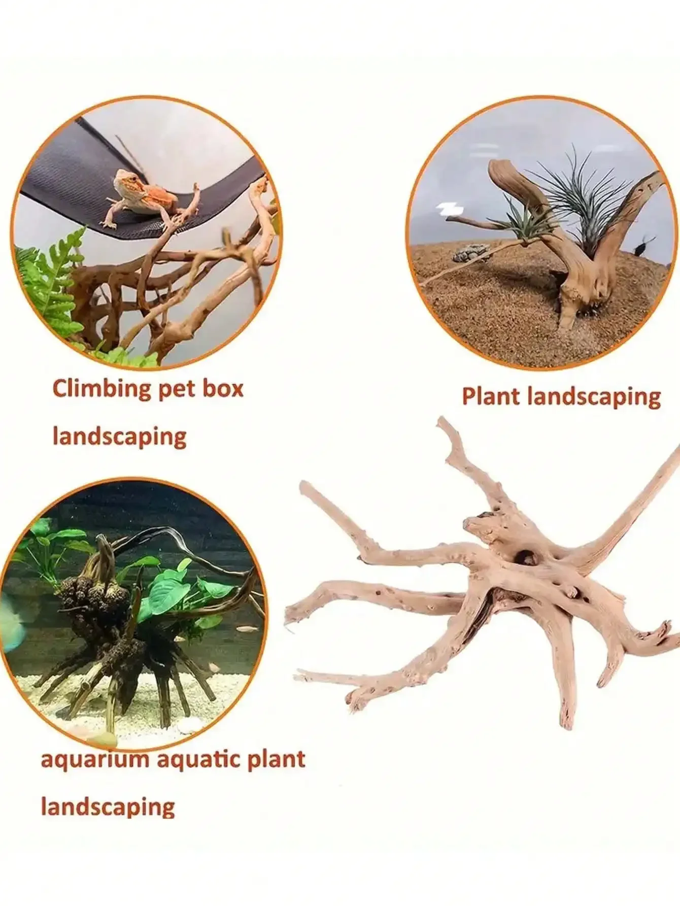 Tronco de árbol natural para acuario pequeño - decoración ecológica - imagen 5