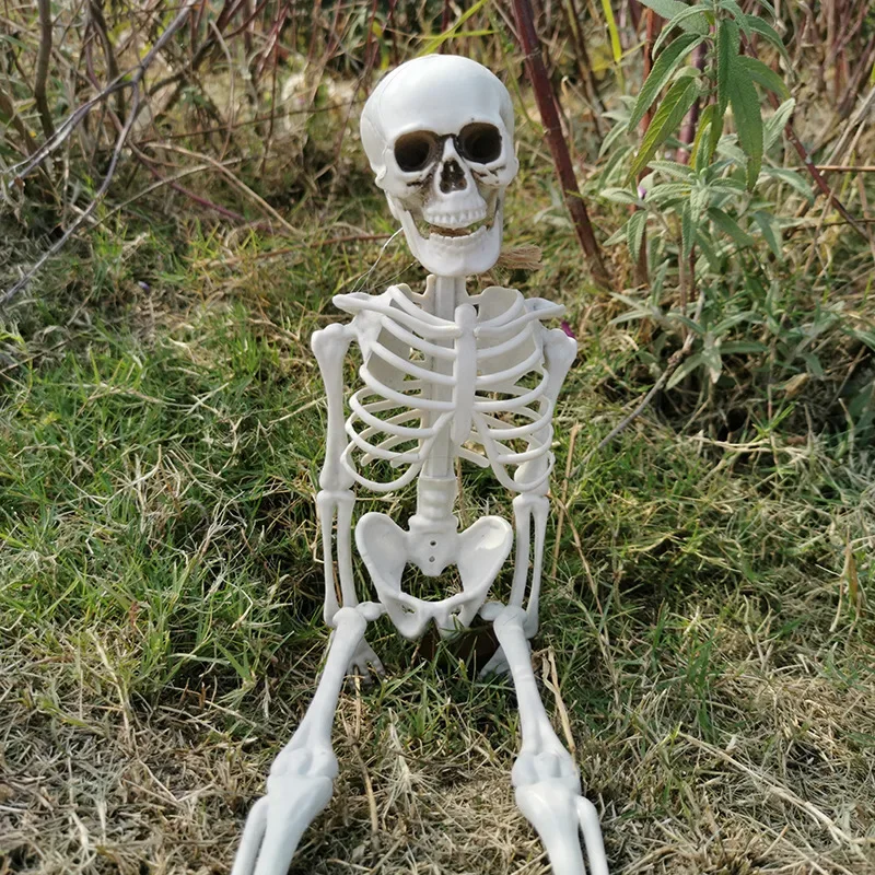 

Halloween Plastic Skeleton Simulation Human Skeleton Haunted House Secret Room Passage Horror Props m