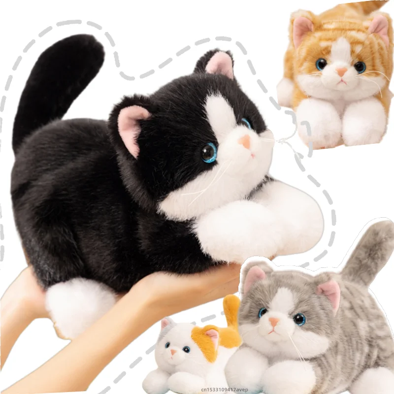 

Simulation Deep Blue Eyes Cat Plush Toy Black and White Cats Plushie Striped Cat Kitten Home Decor Black Doll Toys