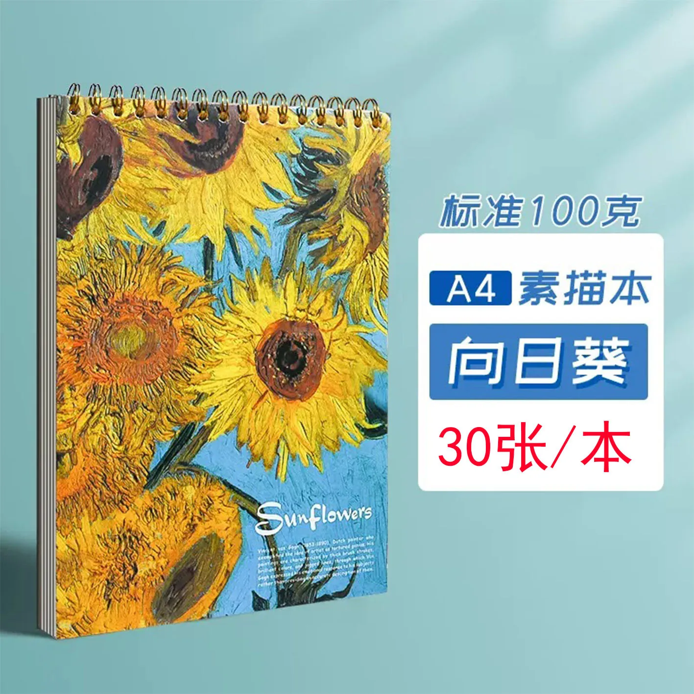 كراسة الرسم A4 Van Gogh، كراسة الرسم المختلفة مقاس A4، كتاب الرسم المرسوم يدويًا، كتاب مصور فارغ للطلاب