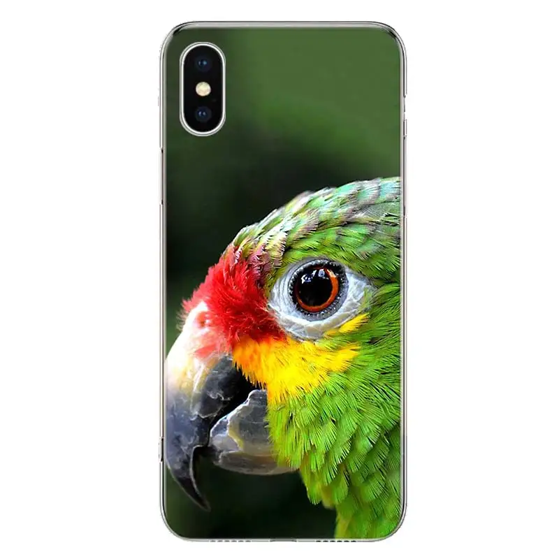 Funny Parrot Blue Color Phone Case For Apple iphone 16 15 14 13 12 11 Pro Max SE X XS XR 7 + 8 Plus Print Soft Cover Fundas 15 +