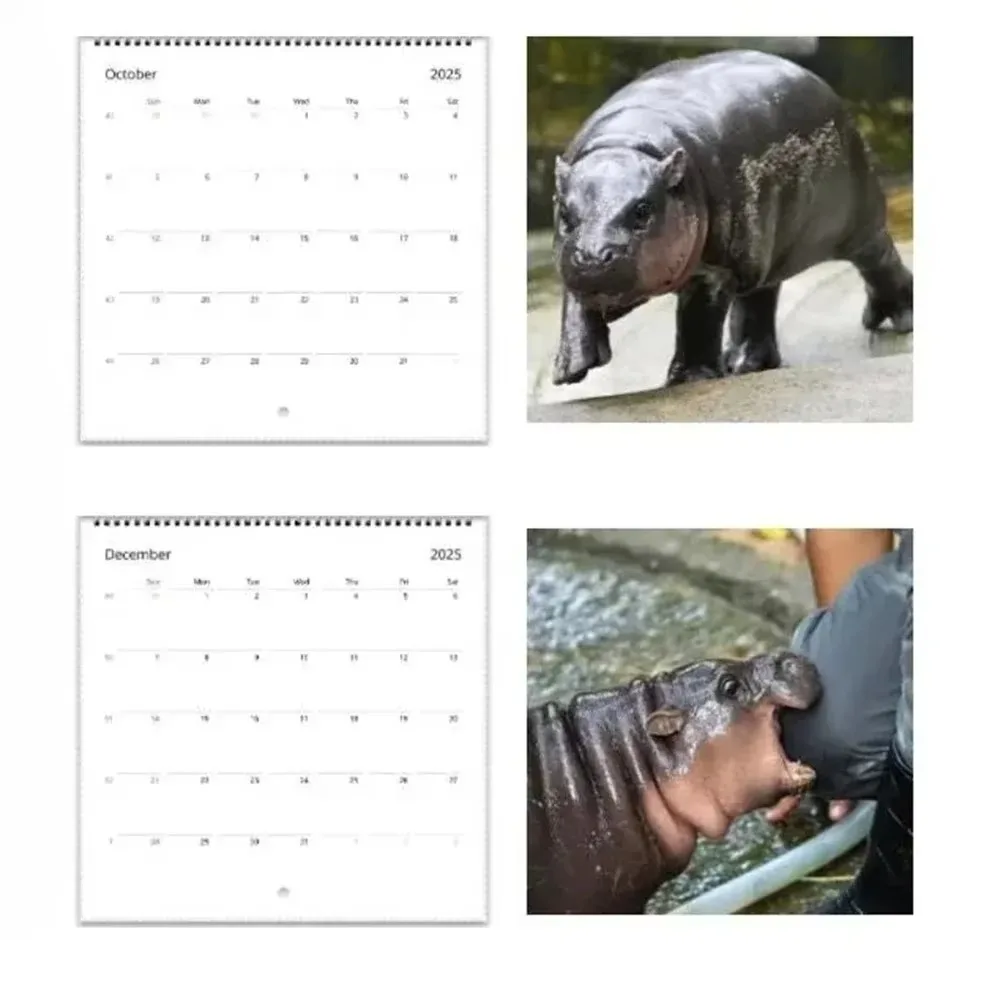 Moda 2025 moo deng calendário bebê hipopótamo criativo hipopótamo calendário 50 pçs placa de cobre papel pendurado decoração de mesa