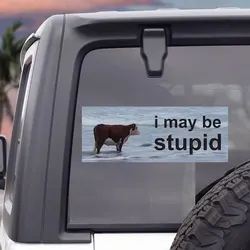 I May Be Stupid Joke Car Stickers, Funny Bumper Sticker For Window Windshield Accessories, Waterproof Vinyl Decals Driver Gift