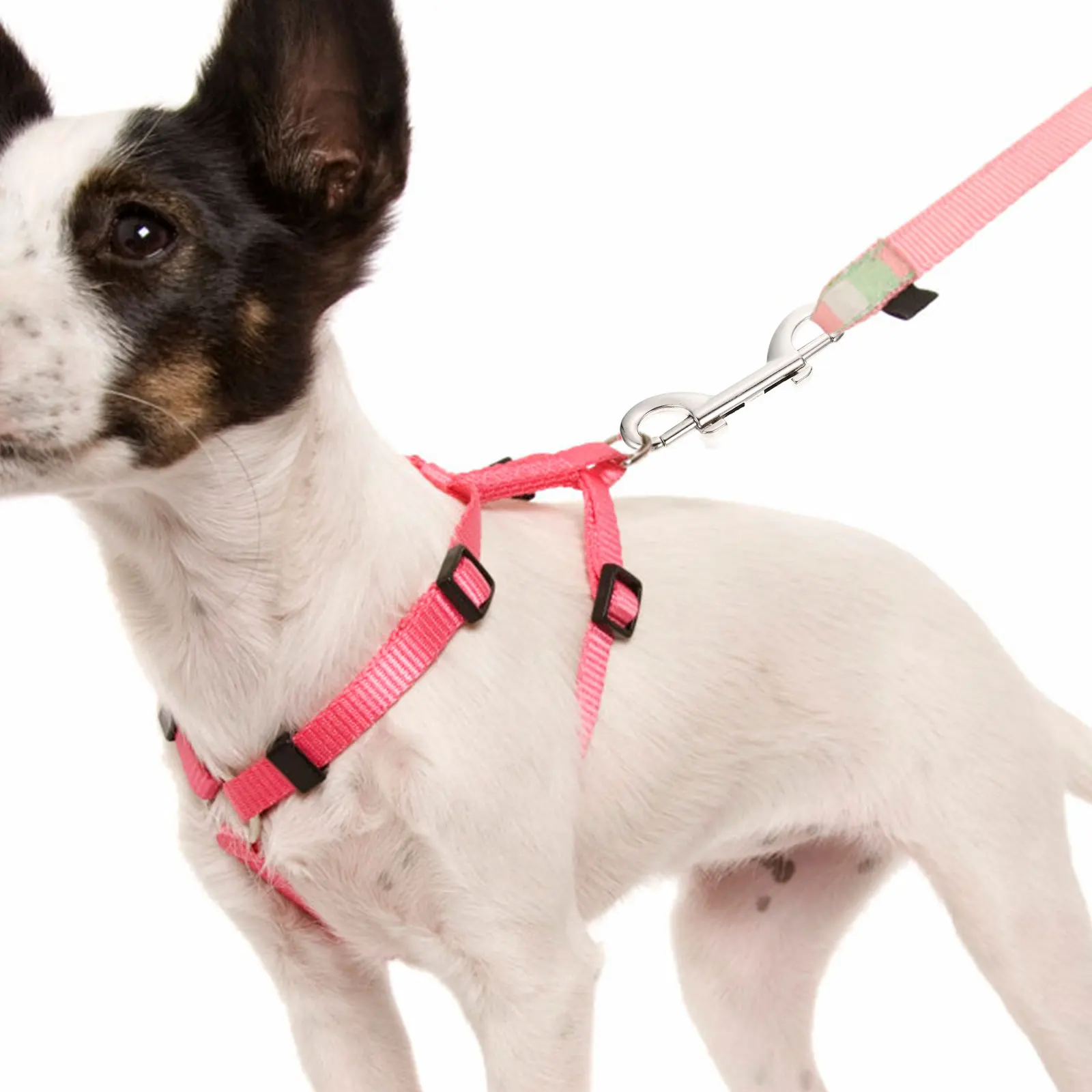 

6PCS Pet Leash Hooks Zinc Alloy Double ended Clips Snap Clasps Dog Collar Luggage Backpack Buckles Lightweight Anti rust