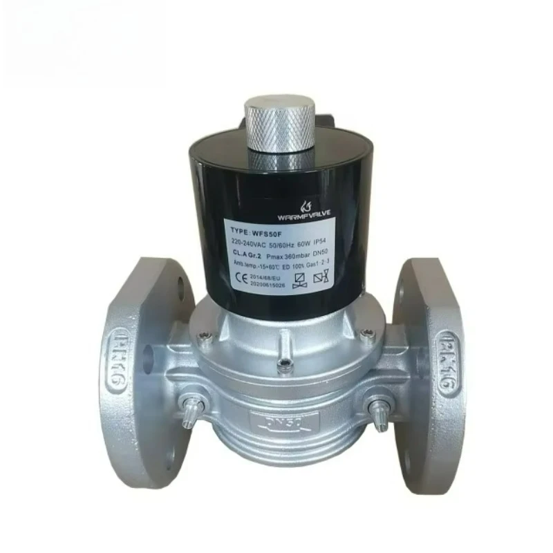 วาล์วโซลินอยด์แก๊ส DN50/F วาล์วโซลินอยด์นิวเมติก