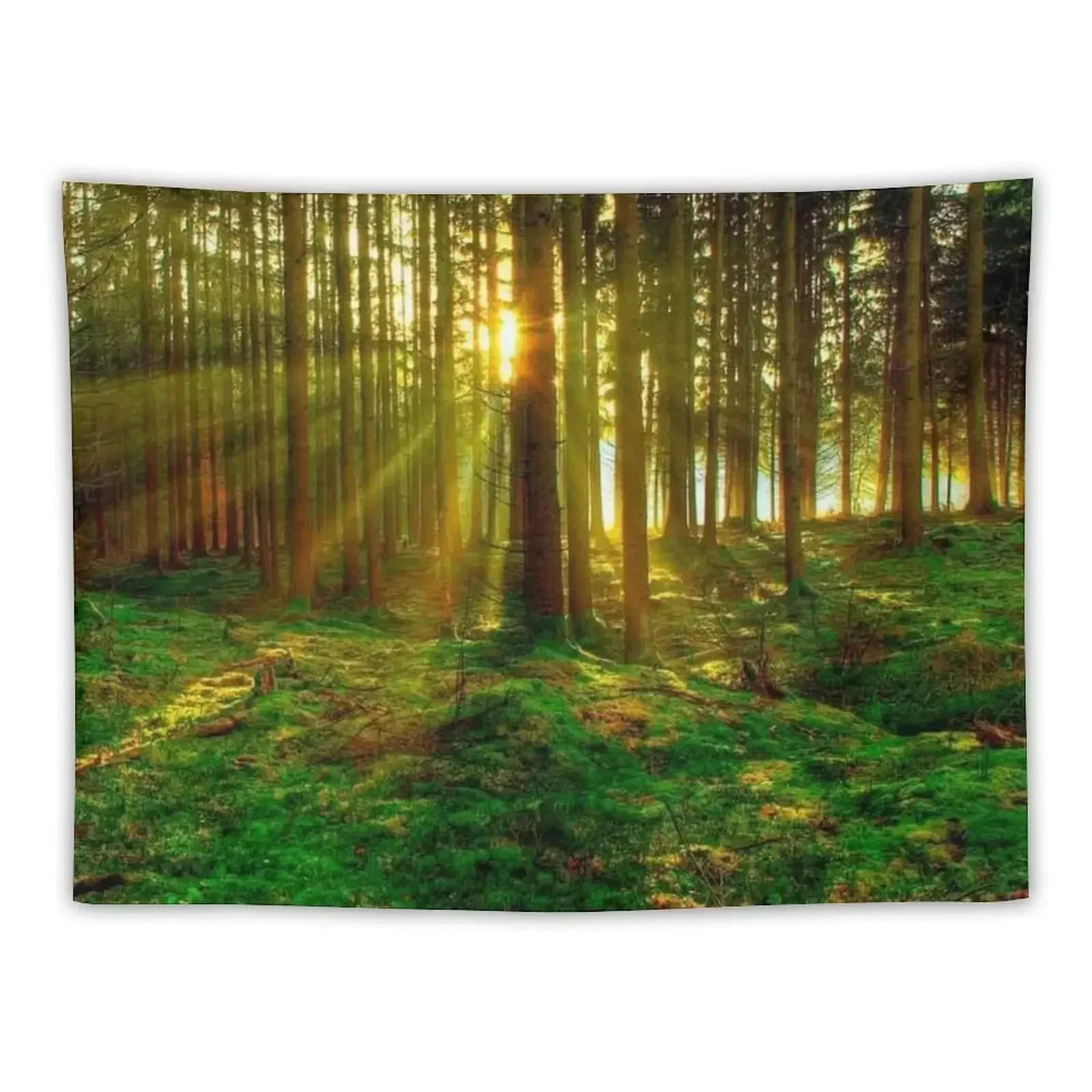 

Forest Sunrise Tapestry Wall Decoration Aesthetic Room Decors Tapestry