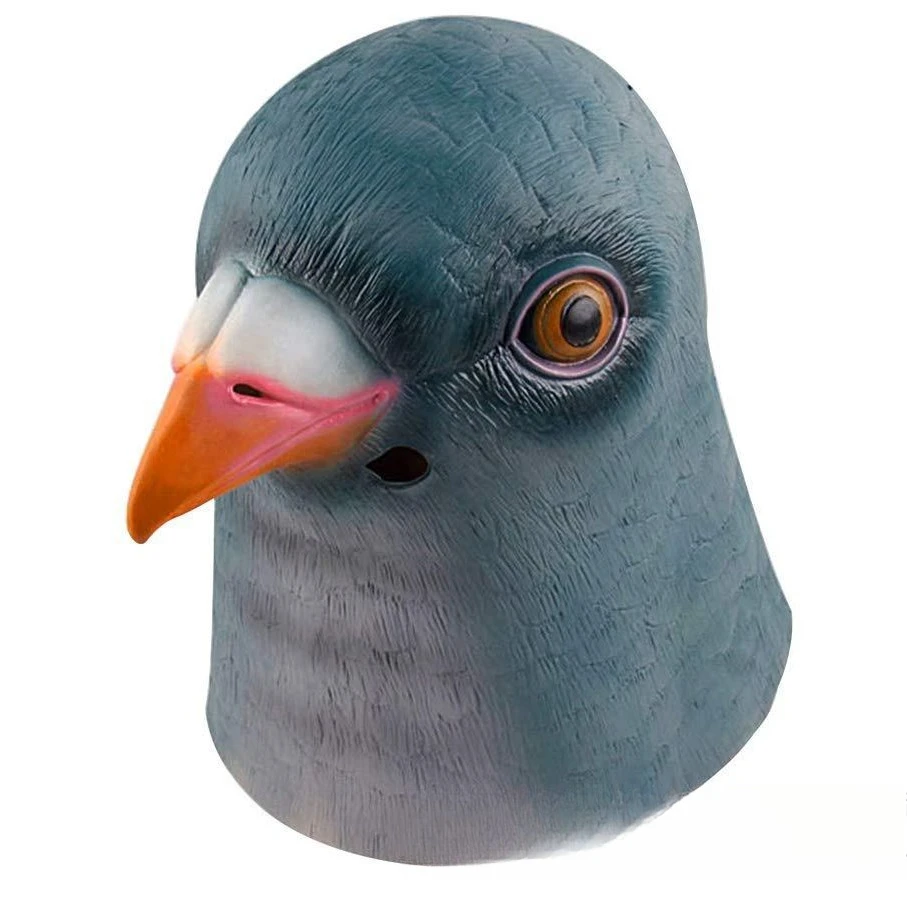 No image