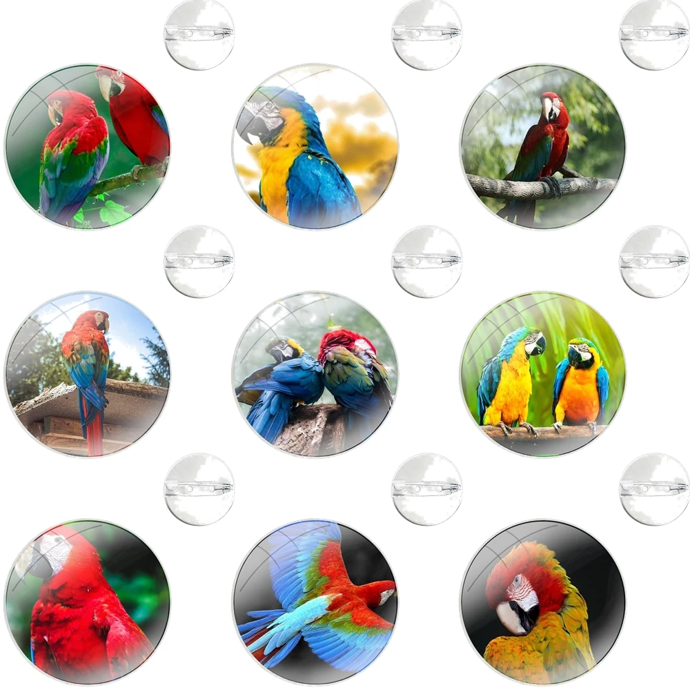 Colorful Rainbow Macaw Parrot Pin Icons Brooch Jewelry Accessories