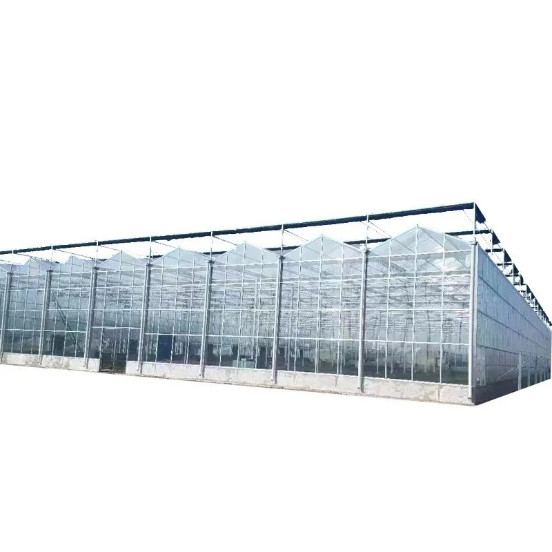 2025New ARRIVAL Strong WIND Resistance Green House กระจกนิรภัย Multi-Span เรือนกระจก Roll Up สําหรับ Organic Farming