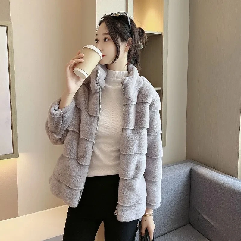 Korean Stand Collar Solid Color Soft Comfortable Fur Jacket Women\'s Faux Fur Coat Autumn Winter New Ladies Fur Coats