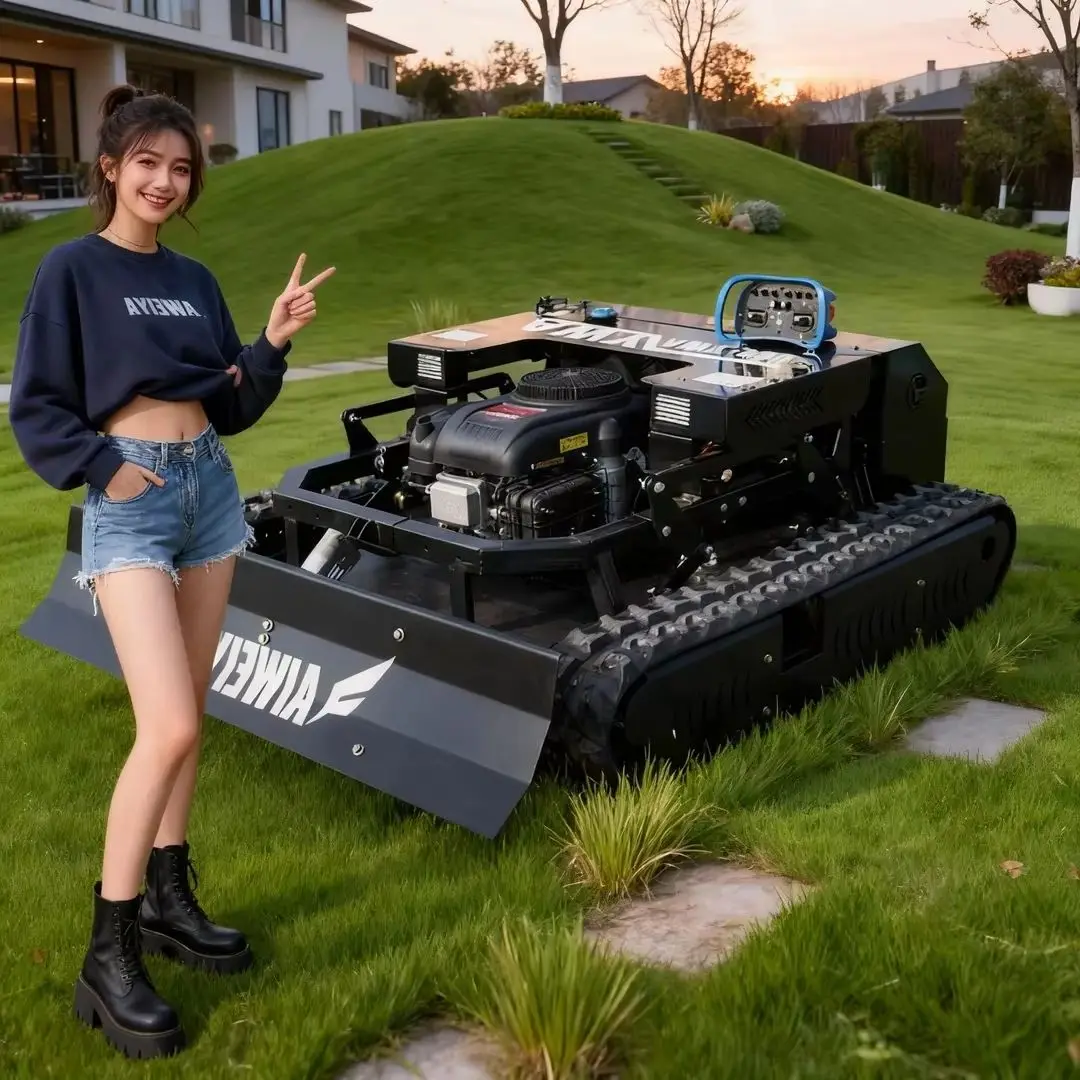 

Customized Core Engine Motor Lawn Mower 2 in 1 Mowing Snow Shoveling CE/EPA Certified One-On-One Beauty Sales