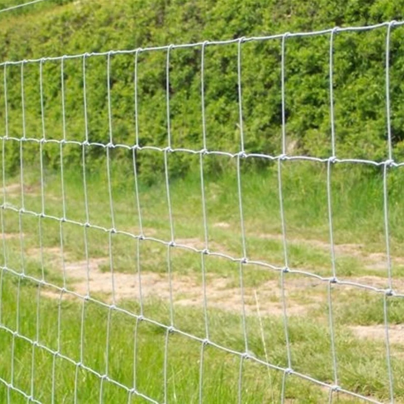 

Изготовленная на заказ в Китае оцинкованная экологичная всепогодная железная полевая ограда для охоты на оленей, для сельского хозяйства, высокая решетчатая сетка G