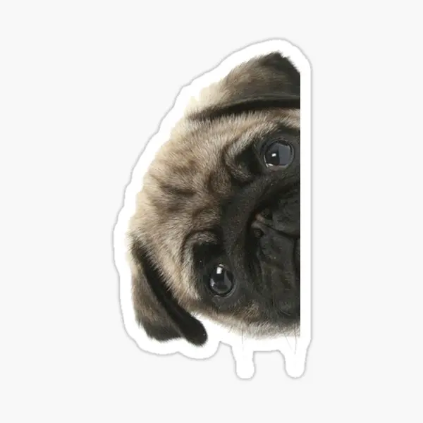 

Pug Irkı Type Dog Sticker Car Auto Bonding 17CM N8