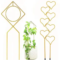 Decoration Ornamental Frame Potted Ornament Garden Arrangement Heart Round Support Plant Trellis Vine Climbing Bracket