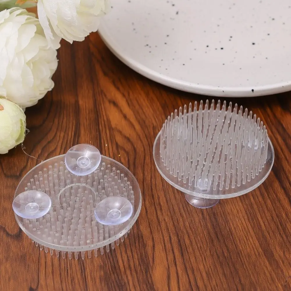 1/3 قطعة حامل جذع ايكيبانا الشفاف مقاوم للماء قاعدة ترتيب دائري لتقوم بها بنفسك دعامة تثبيت الزهور للمزهريات تصميم الأزهار