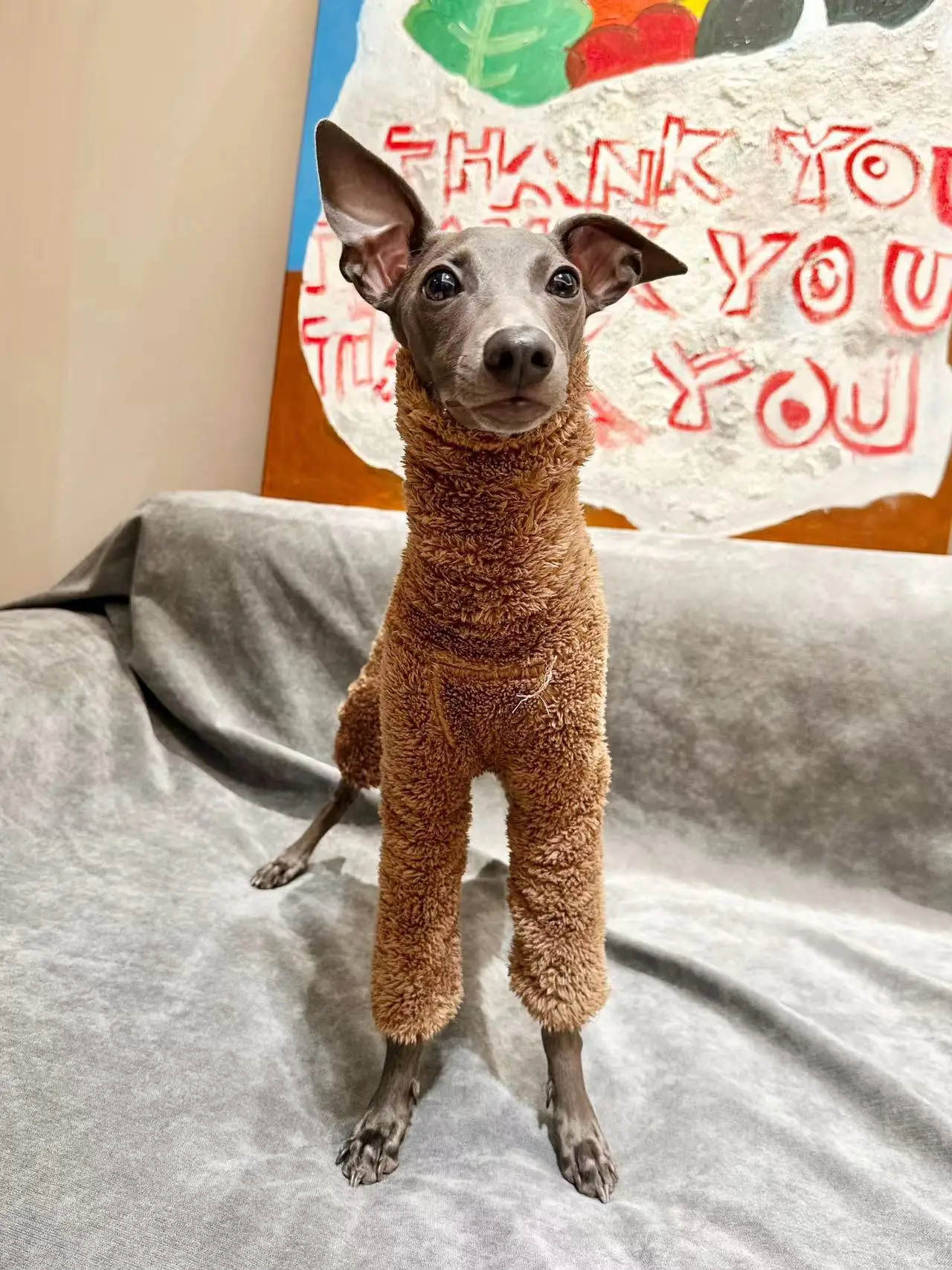 Zimowe Onesies Dla Psów Miękkie Ubrania Dla Szczeniąt Wysoka Neck Ciepłe Włoskie Ubrania Greyhound Whippet/Meksykańskie Bez Włosów/Maltańskie — 2