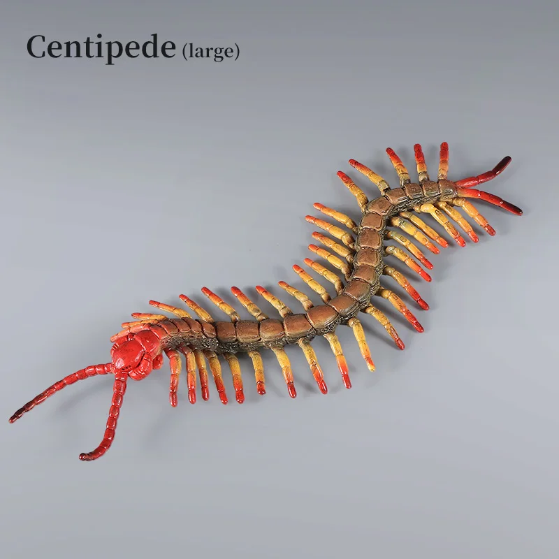 New Wild Insect Animals Model Large Centipede Action Figures Collection Decor Miniature Kid Education Halloween Toy