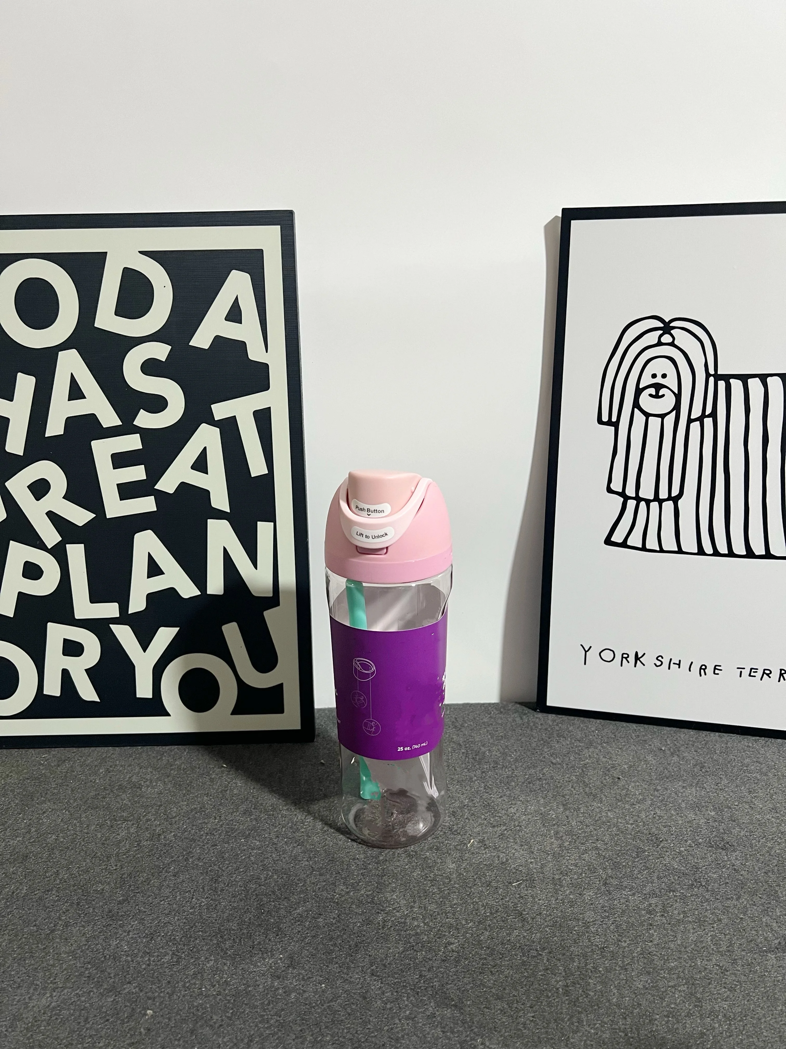 

25oz Water Cup Plastic Cup Transparent Plastic Water Cup Double Drinking Cup Straw Cup Sports Water Cup