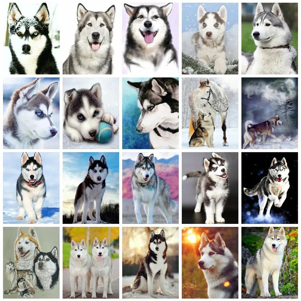 Huacan 5d Diamond Painting Full Drill Square Dog Mosaic Animal Home Decoration Embroidery Husky Diamond Art